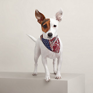エルメス 犬の絵柄 プレート 約21cm エルメス 犬の絵柄 プレート 約21cm